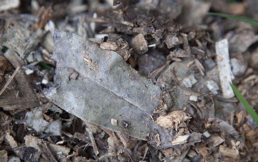 Making a compost pile