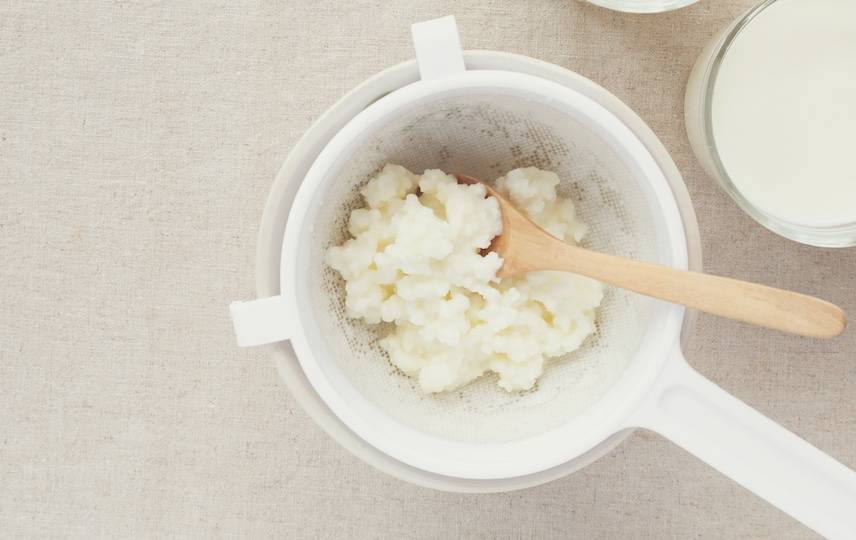 fermented drinks