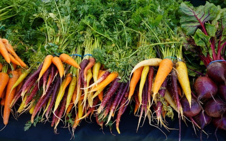 how to make sustainable food choices