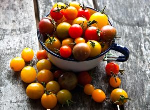 How to save tomato seeds