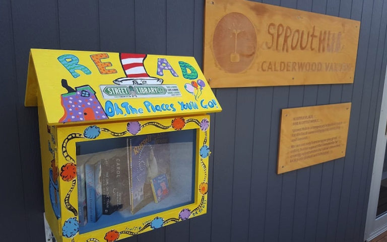 start a street library