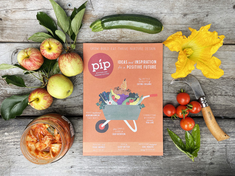 pip magazine issue 19