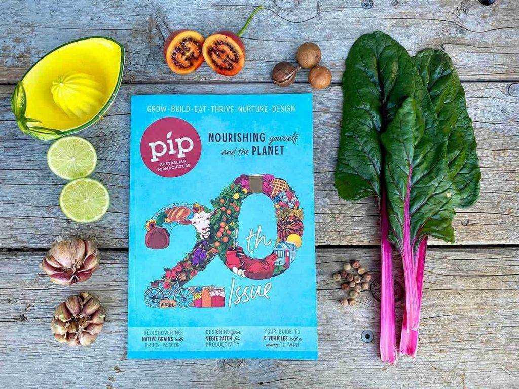Pip Magazine issue 20