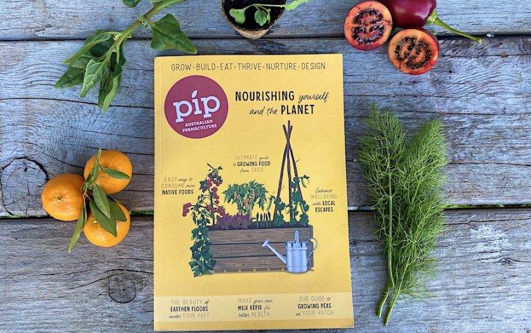 pip magazine issue 21