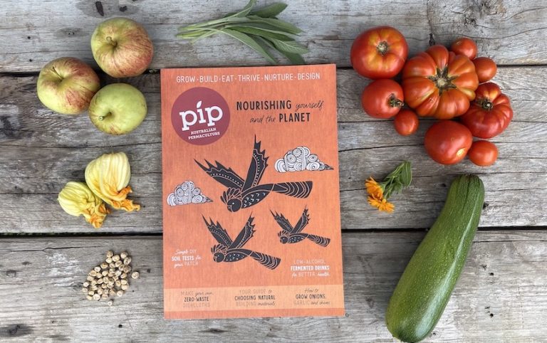 issue 23 pip magazine