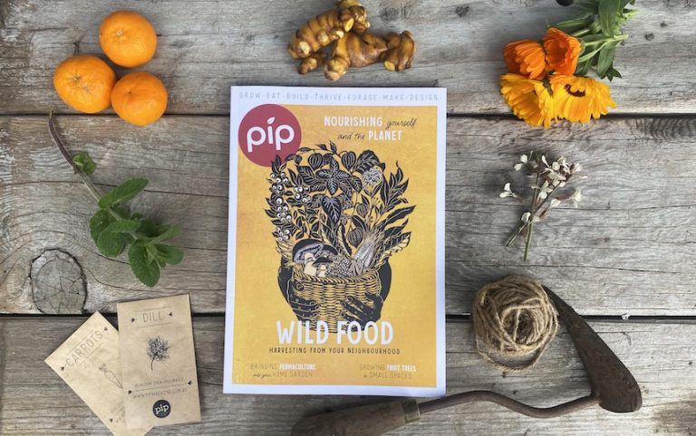 Pip Magazine issue 25