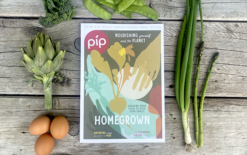 Issue 26 Pip Magazine