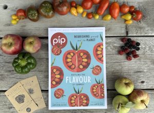 Pip magazine issue 27