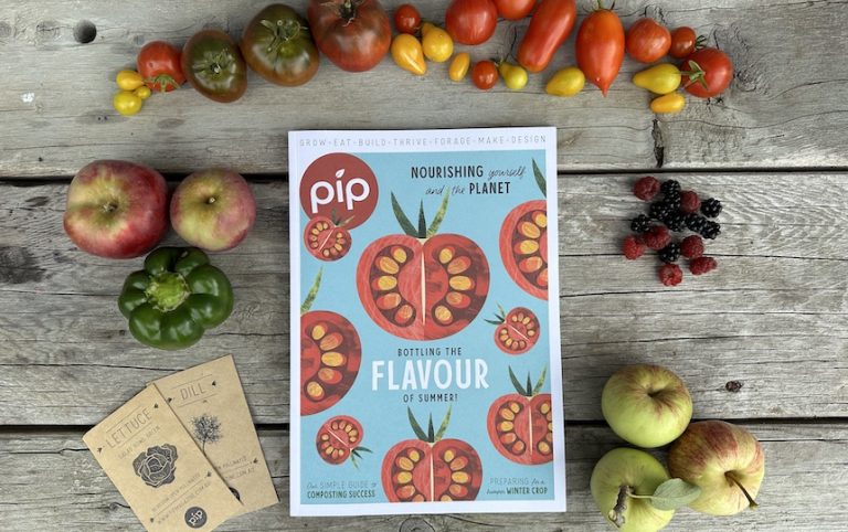 Pip magazine issue 27