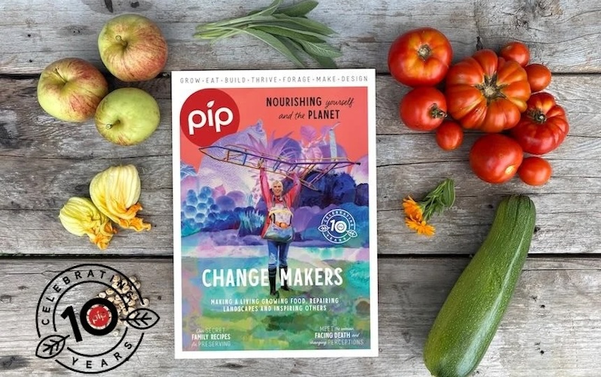 pip magazine issue 31