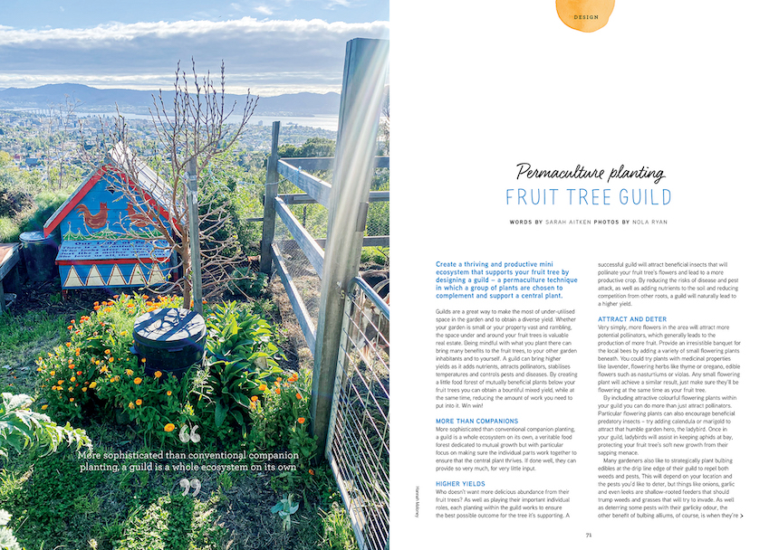 design a permaculture  guild 