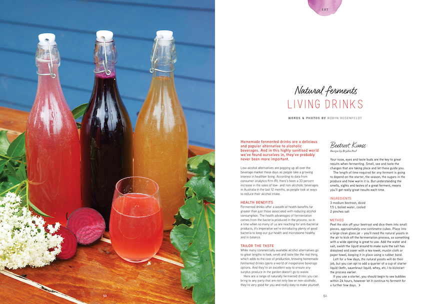 fermented drinks issue 23 pip magazine