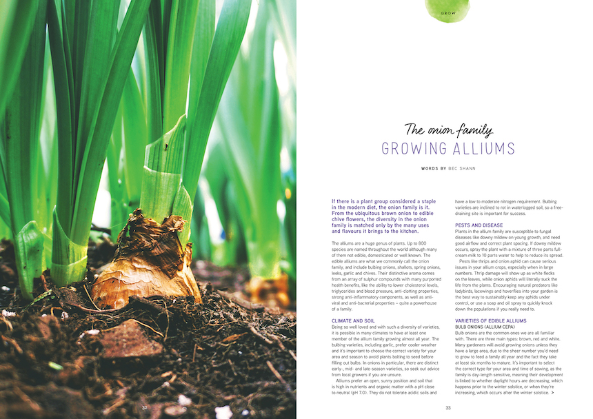 how to grow onions
