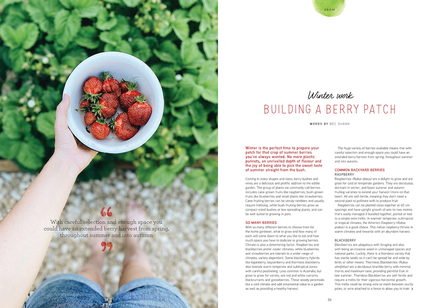 how to build a berry path issue 24 pip magazine