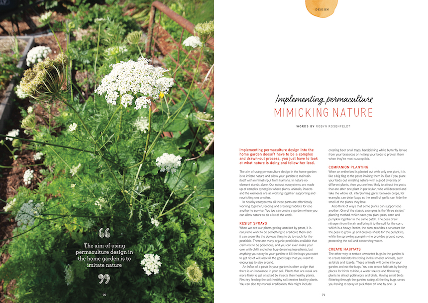 permaculture design