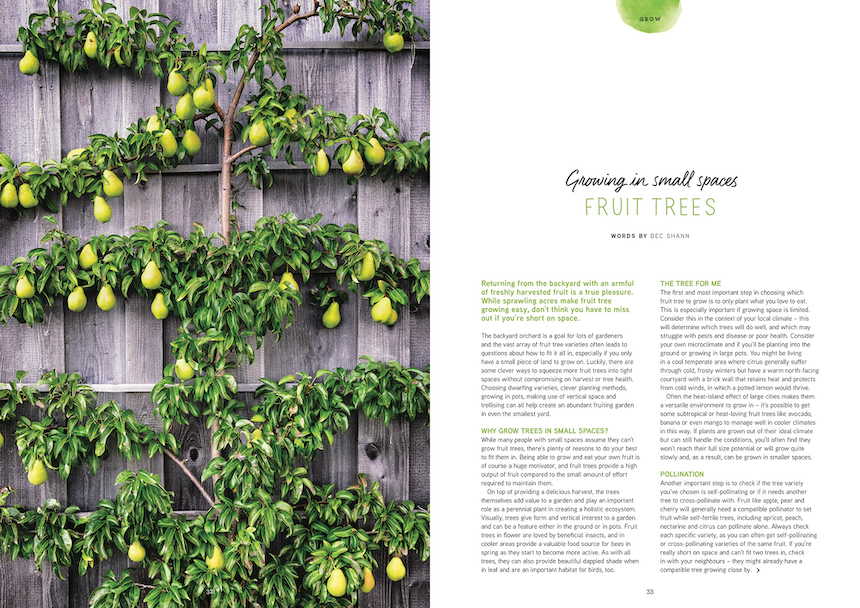 Pip Magazine issue 25