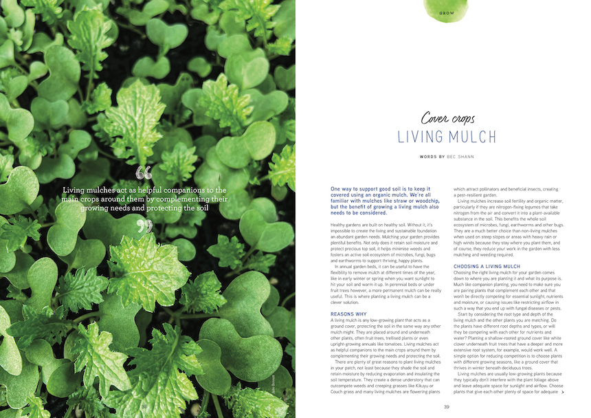 Pip Magazine issue 25