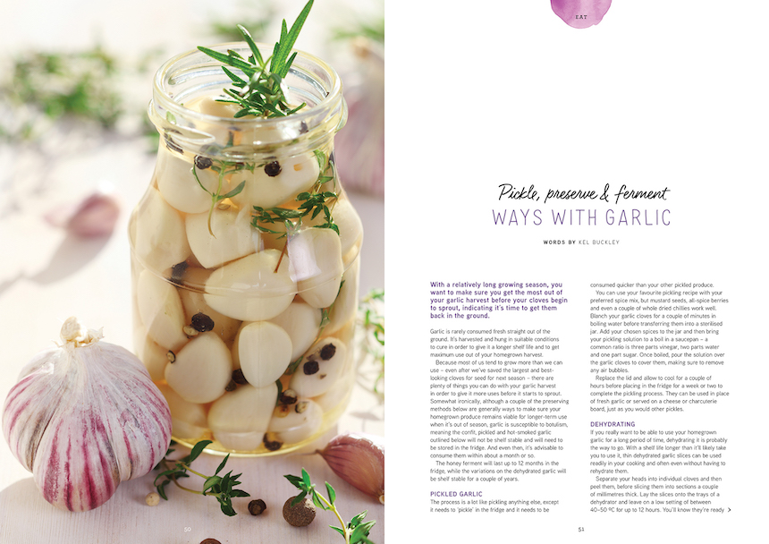 issue 26 pip magazine garlic