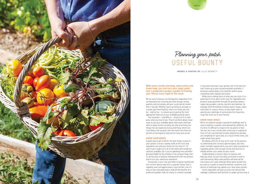Pip magazine issue 26
