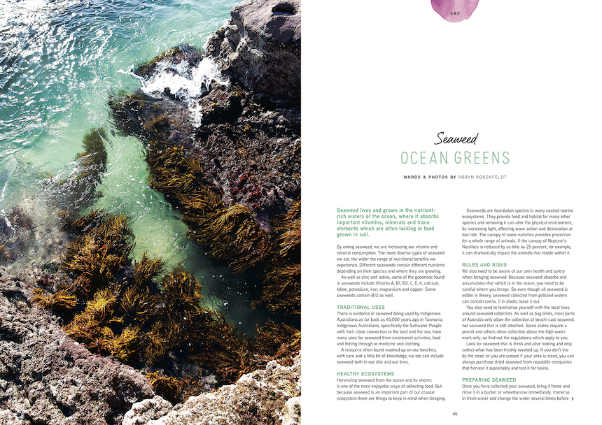 Seaweed lives and grows in the nutrient- rich waters of the ocean, where it absorbs important vitamins, minerals and trace elements which are often lacking in food grown in soil.