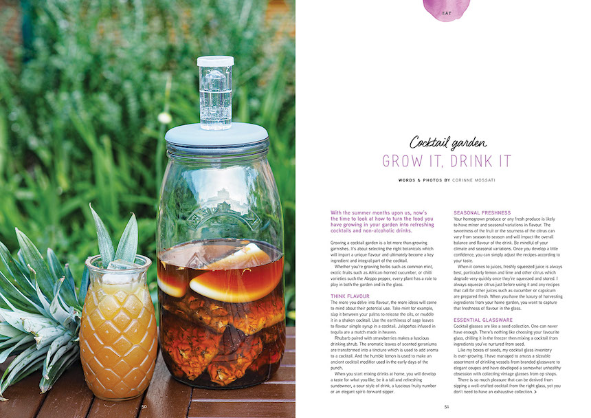 summer cocktail and cocktail recipes