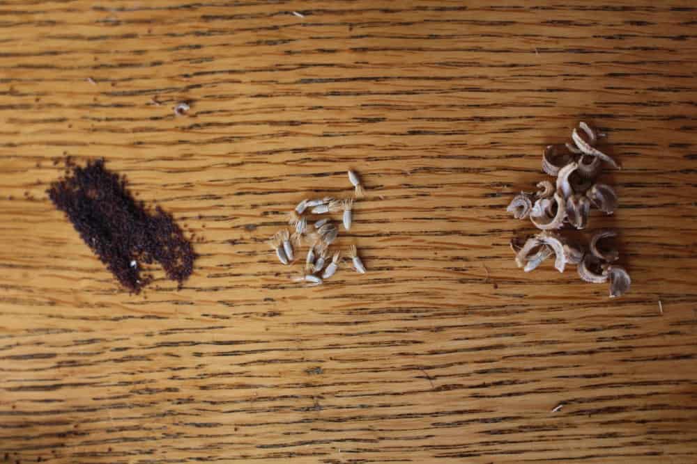 seeds of poppies, calendula and cornflowers