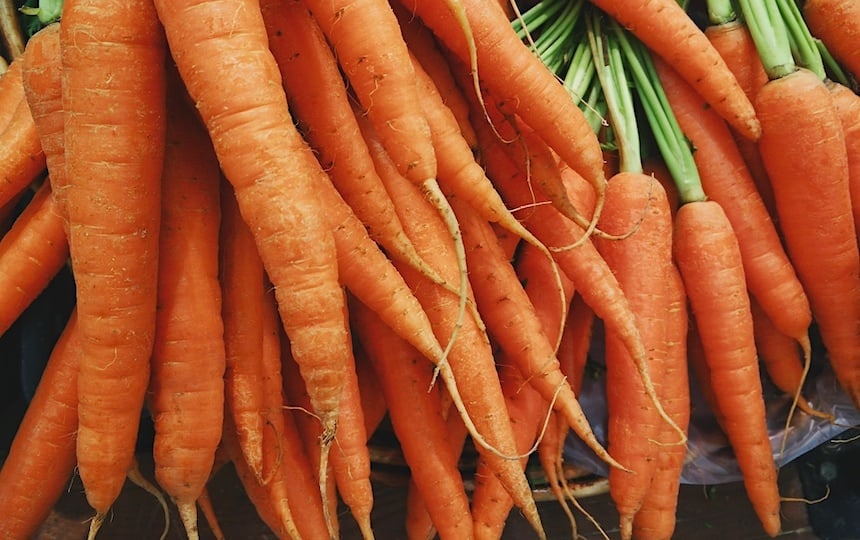 growing carrots