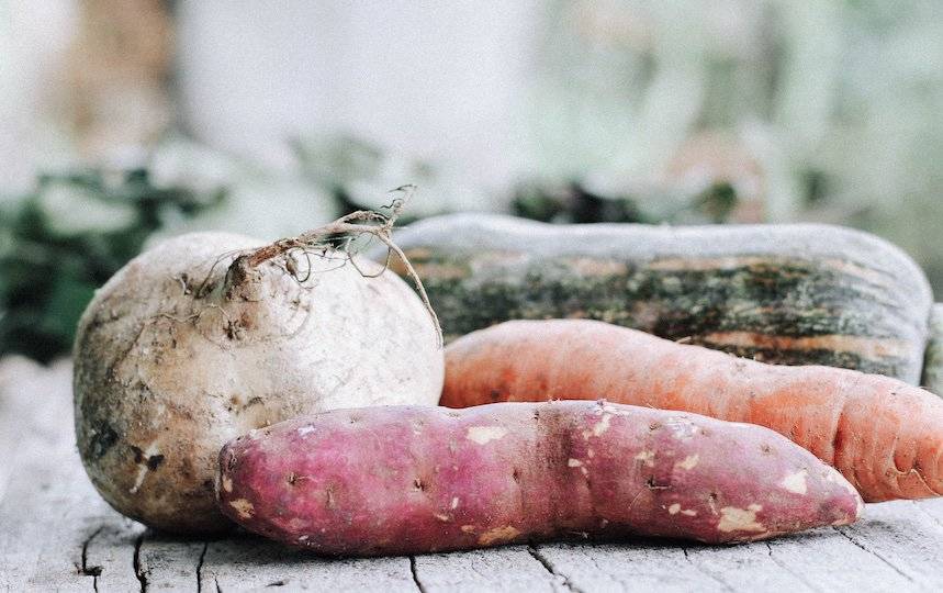 march garden guide