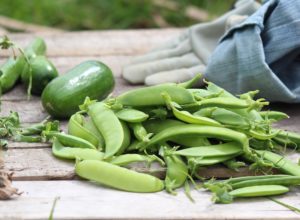 green peas
