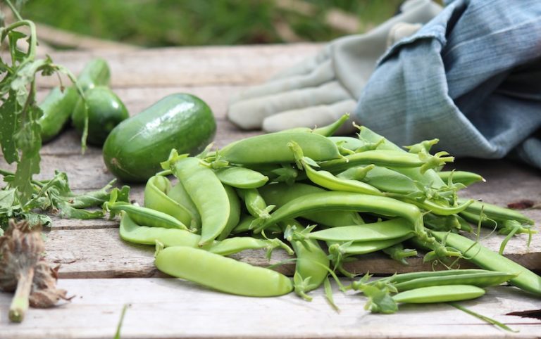 green peas