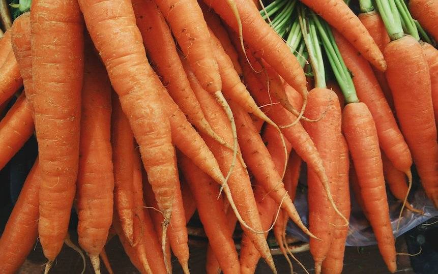 march garden guide