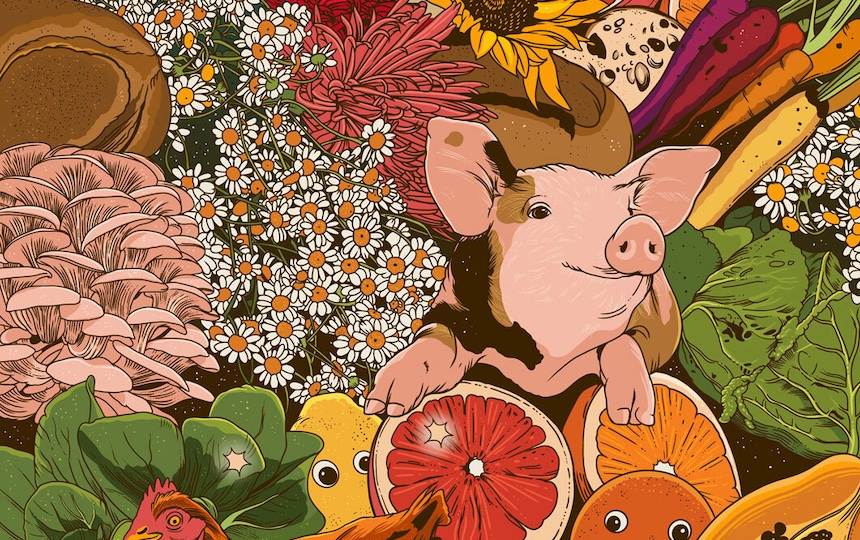 illustrated piglet