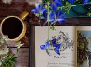 Pip’s Holiday Reading Guide