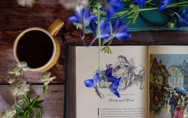 Pip’s Holiday Reading Guide