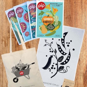 10 Eco-Friendly Gift Ideas 