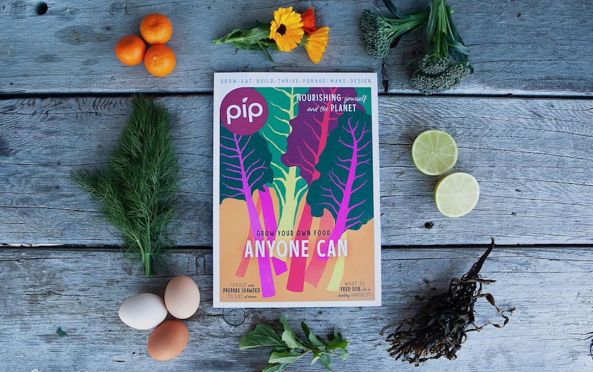 Pip Magazine Issue 29