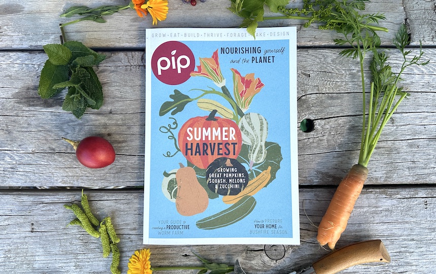 pip magazine issue 30