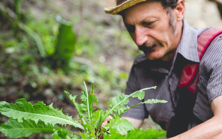 Pip Podcast #32: Diego Bonetto Image_by_Aimee-Crouch1