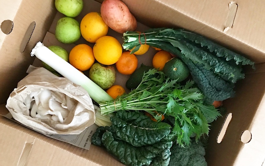 Anita Vandyke a zero waste life
