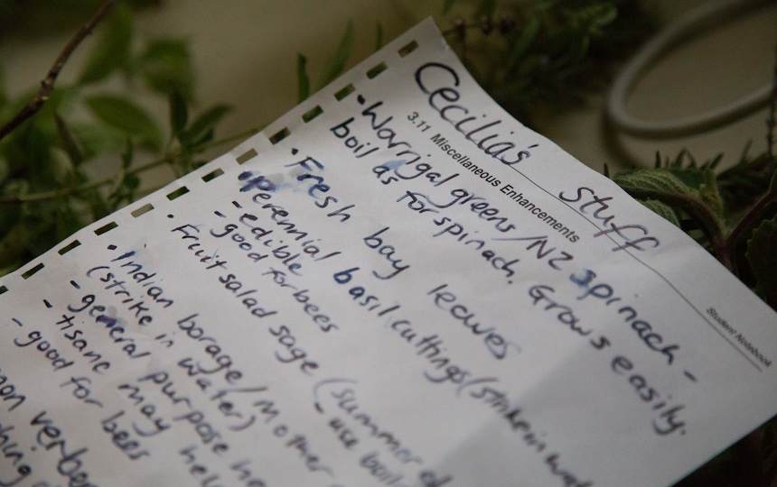 Growing fresh produce at home