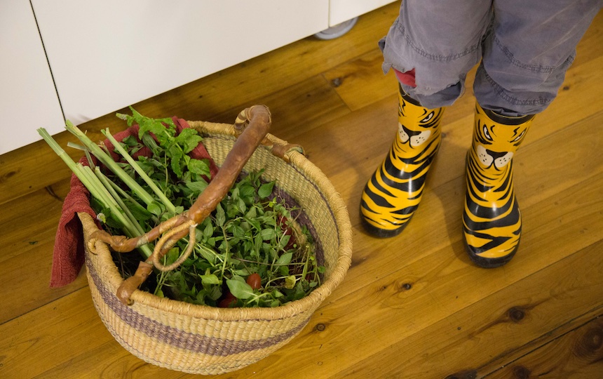 Food from the garden