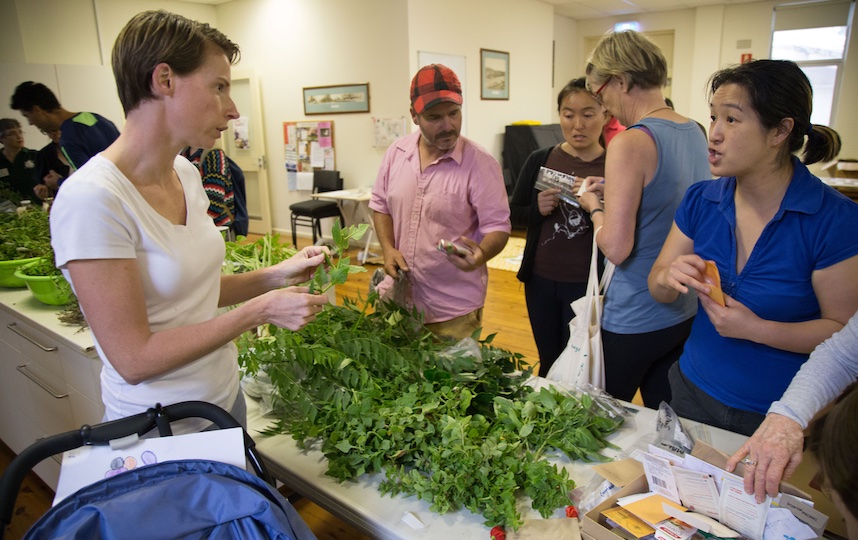 Cashless produce market