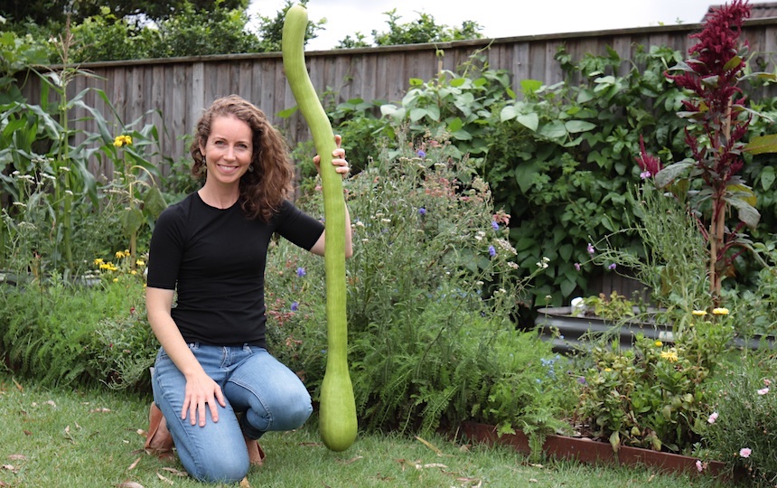 Pip Profile- Laurie Green (Crop Swap)