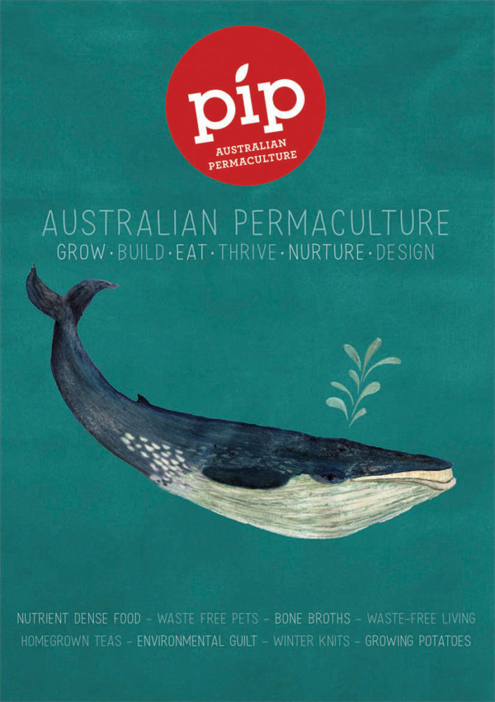 Pip issue 14 cover whale