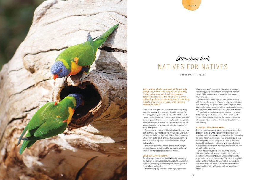Using native plants to attract birds not only brings life, colour and song to our gardens,
it also helps keep our local ecosystems balanced because of the roles birds play in pollinating plants, dispersing seed, controlling insects and, in some cases, even keeping rodents in check.