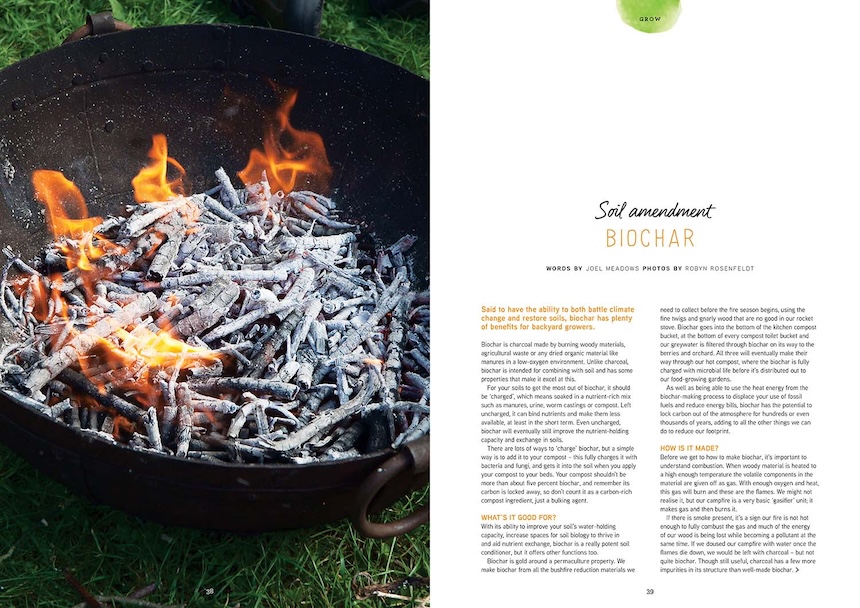 Said to have the ability to both battle climate change and restore soils, biochar has plenty of benefits for backyard growers.