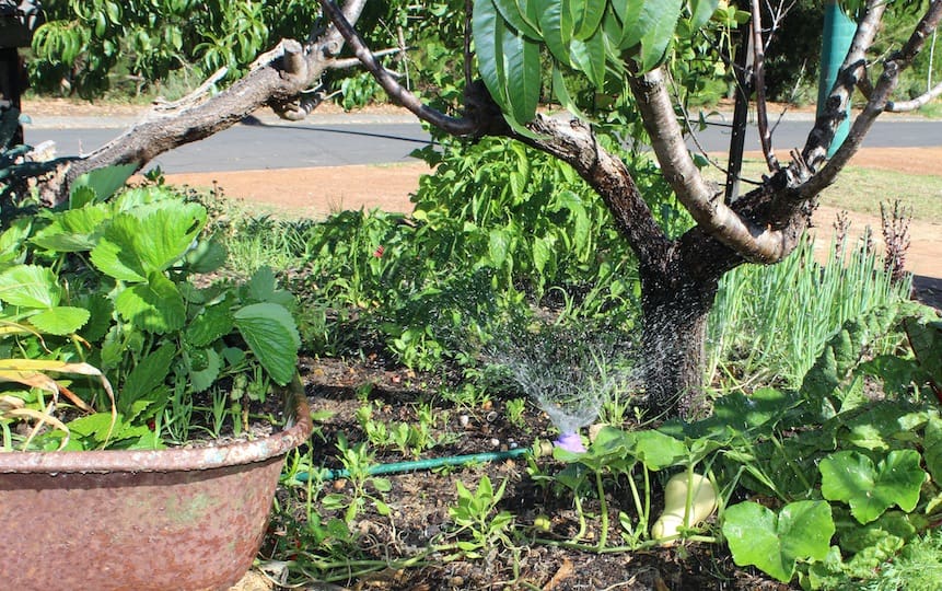 Reduce water waste