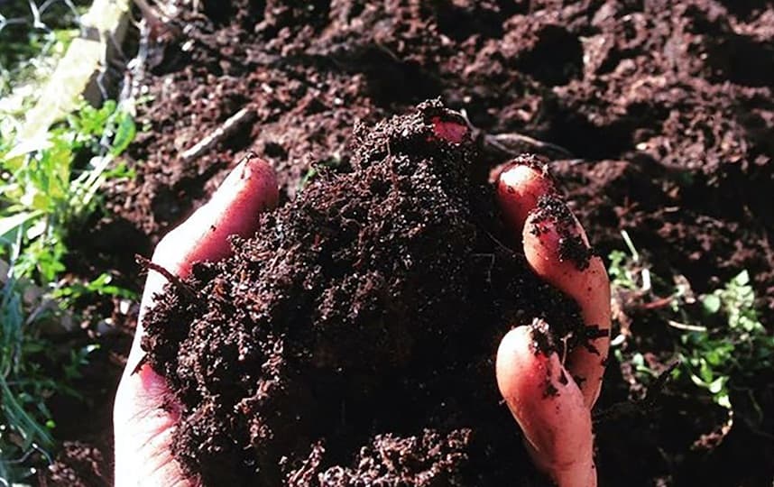 regenerating soil