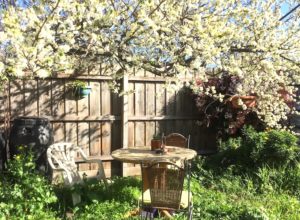 rental gardening