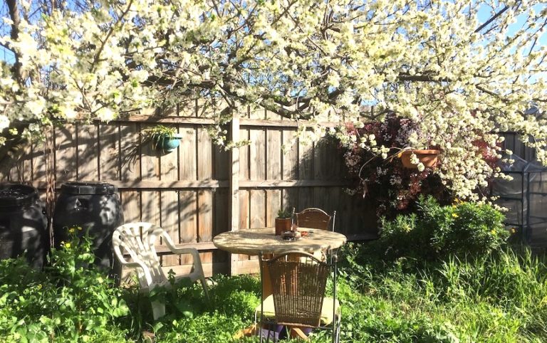 rental gardening